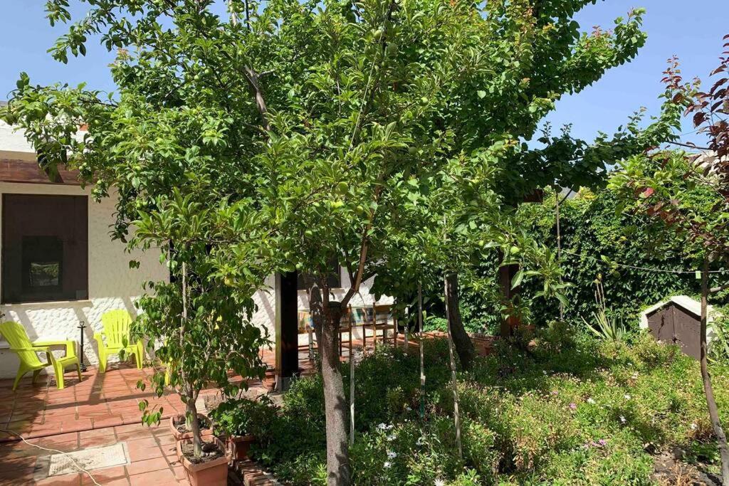 Casa Tranquilla A Pochissimi Passi Dal Mare Villa Sant'Andrea  Exteriör bild
