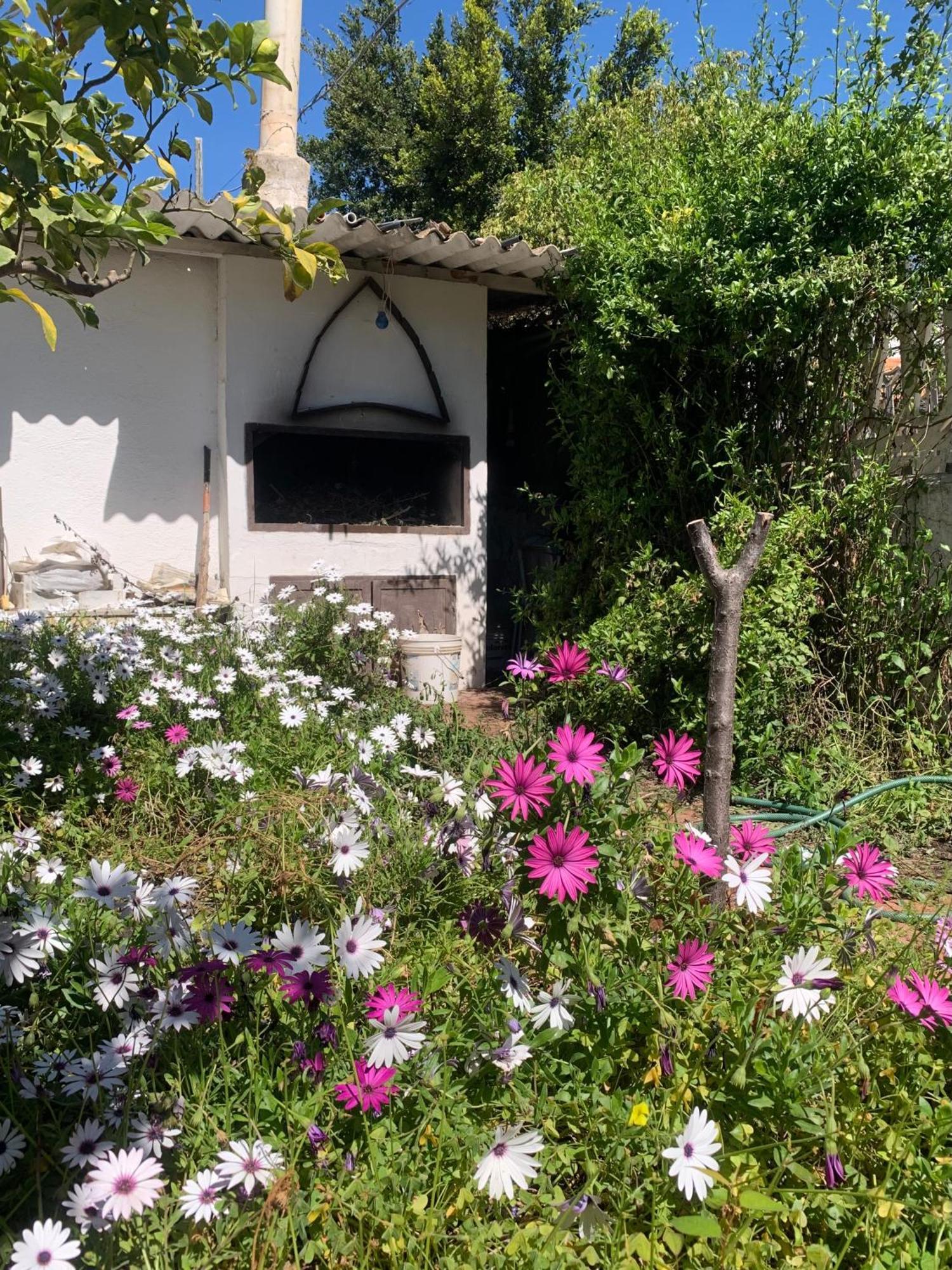 Casa Tranquilla A Pochissimi Passi Dal Mare Villa Sant'Andrea  Exteriör bild